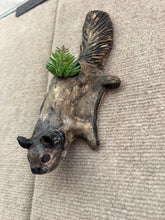 Load image into Gallery viewer, Flying Squirrel