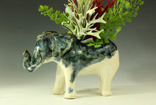 Load image into Gallery viewer, W Elephant
