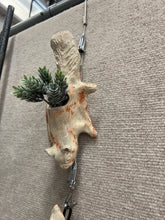 Load image into Gallery viewer, Flying Squirrel