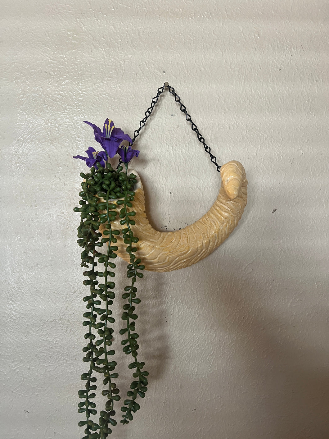 Large Horn Vase