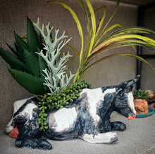 Load image into Gallery viewer, W Dairy Cow
