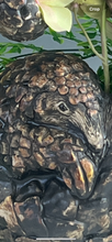 Load image into Gallery viewer, W Pangolin
