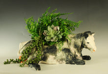 Load image into Gallery viewer, B Grass Eaters
