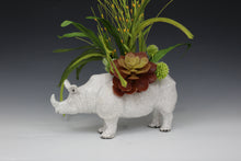 Load image into Gallery viewer, W Rhinoceros

