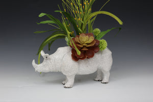 W Rhinoceros