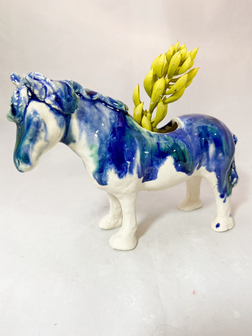 W Horse
