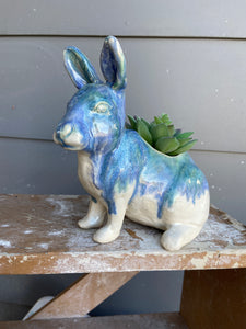 W Rabbit