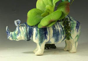 W Rhinoceros