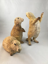 Load image into Gallery viewer, Prairie Dog Group
