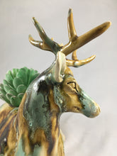 Load image into Gallery viewer, Mule Deer- Box Planter Combo Sancai
