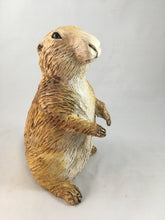 Load image into Gallery viewer, Prairie Dog Group
