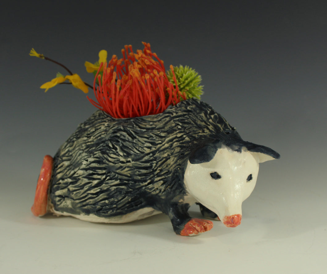 W Opossum